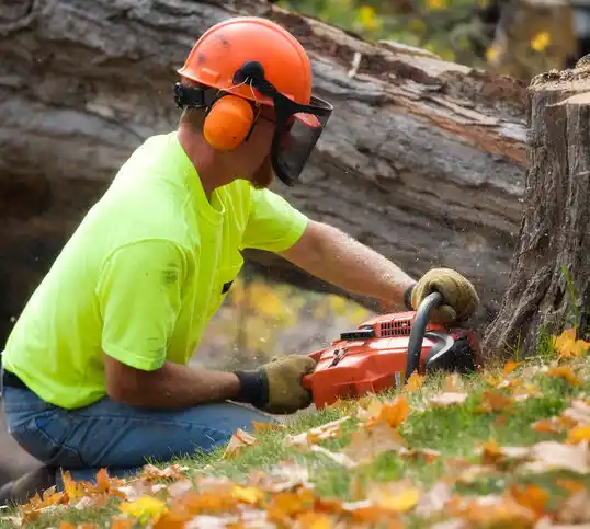 tree services Hewlett